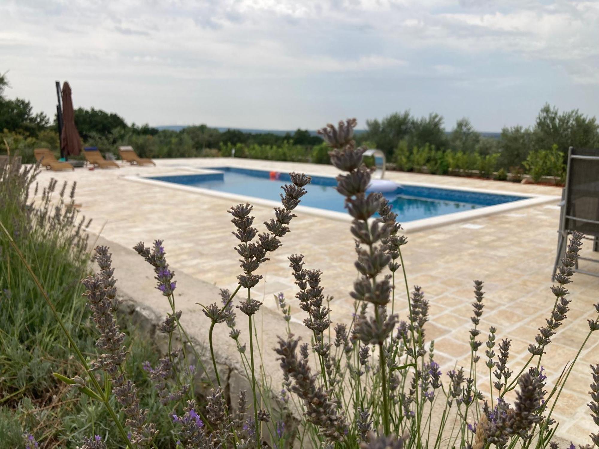 Villa Doci Zadar Exterior photo